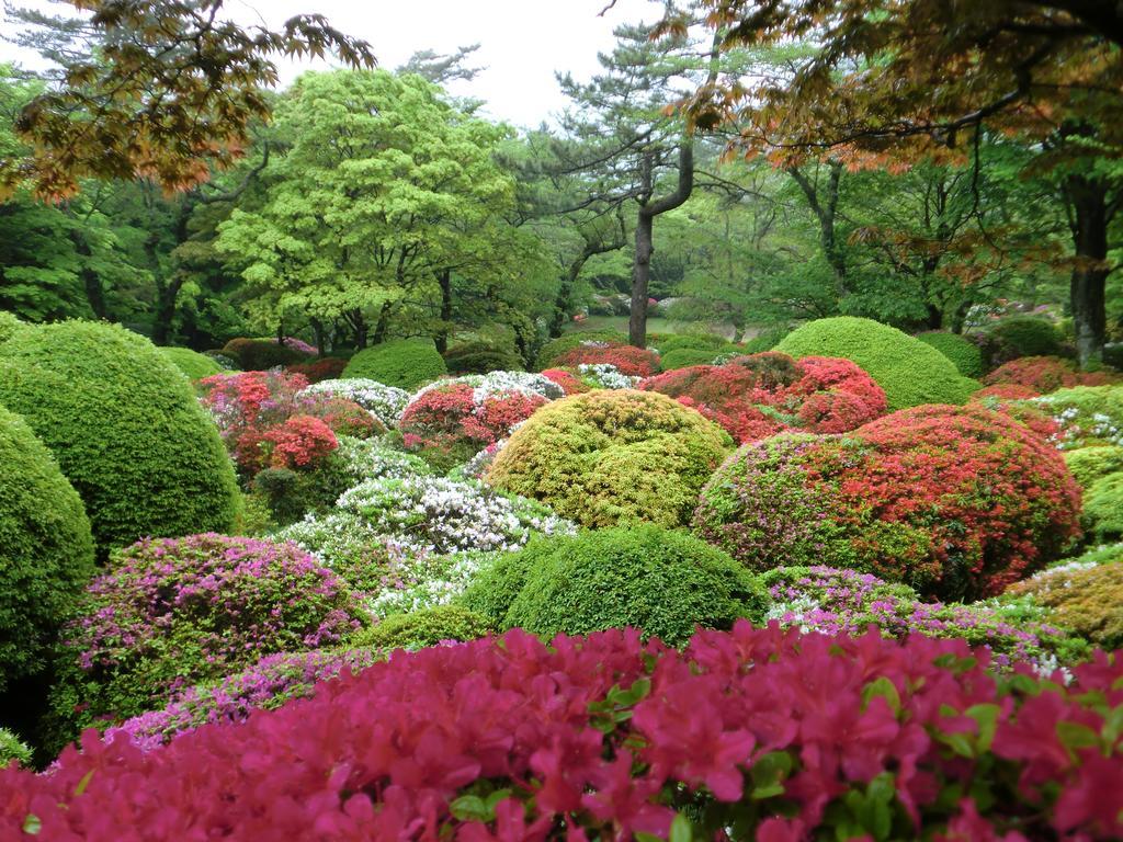 Hakone Kowakien Miyamafurin Hotel Kültér fotó