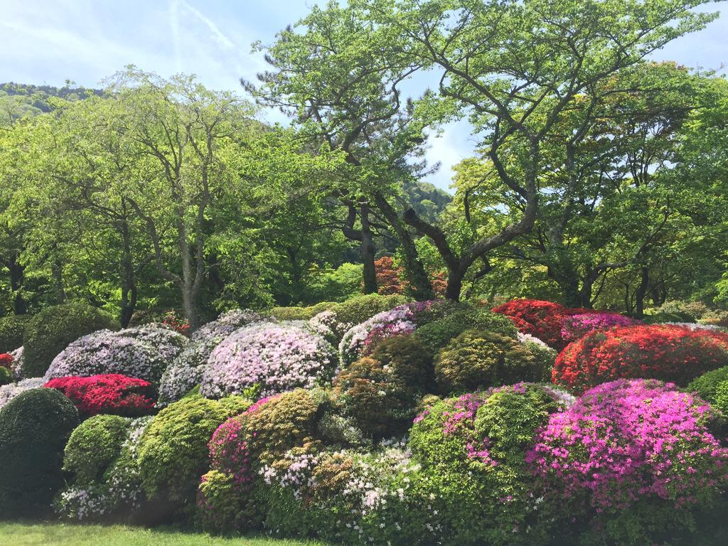 Hakone Kowakien Miyamafurin Hotel Kültér fotó