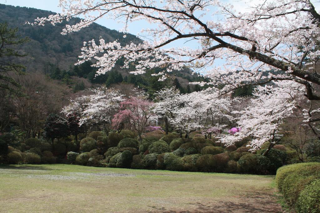 Hakone Kowakien Miyamafurin Hotel Kültér fotó